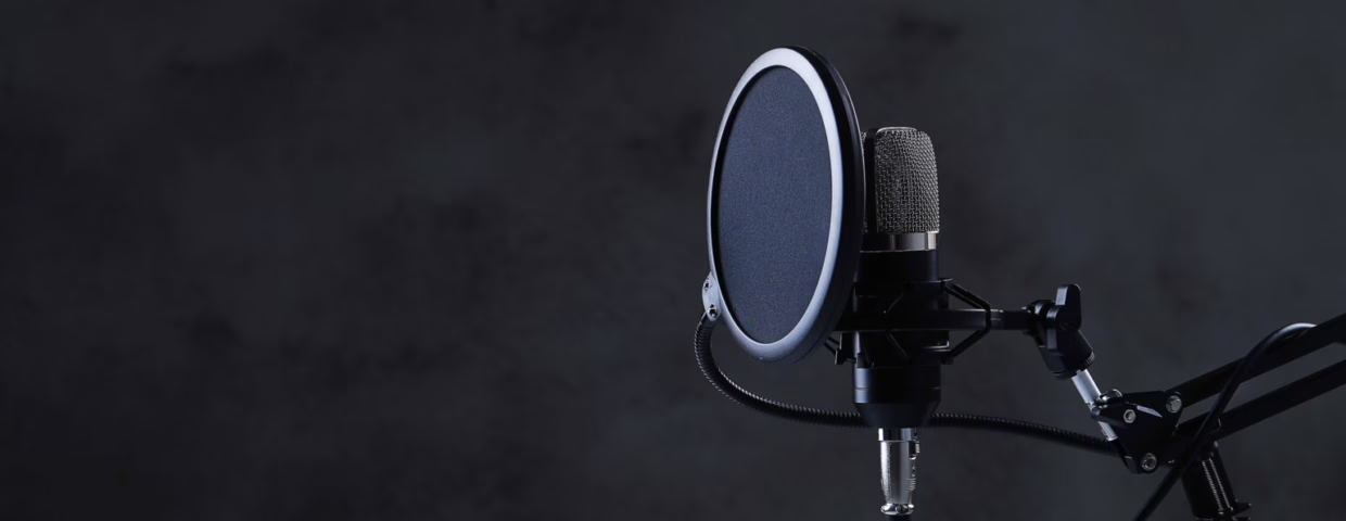 Sound studio. Microphone in close-up