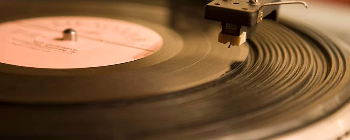 Vinik disk being played